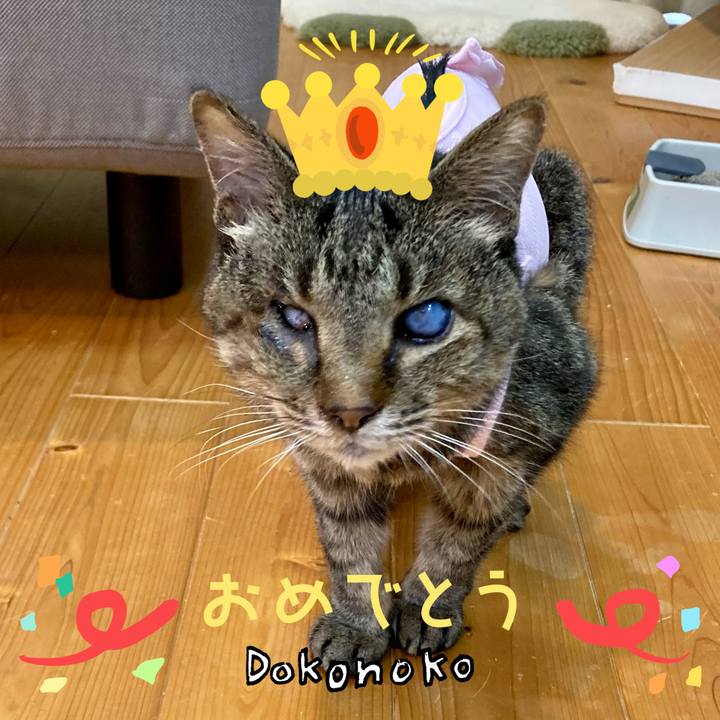 264ce096 3c53 4def b5d4 4d3b0c50d01e 1685960936471