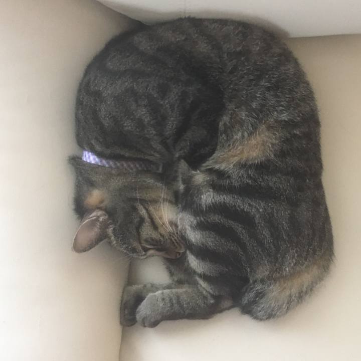 264cf27f 365b 4133 94a8 8702570787a6 1596791642331