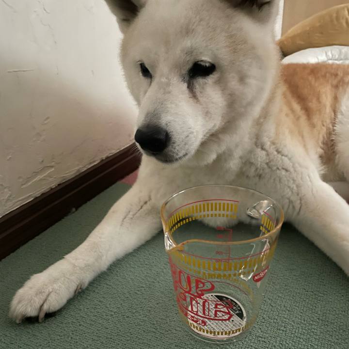 264cf501 048e 4bf7 a6d9 84ad105f9cca 1696125829112