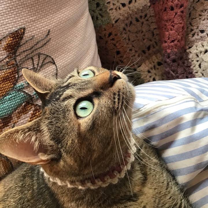 264cfbba 8cd2 4af2 9852 90b463df7559 1650846319806