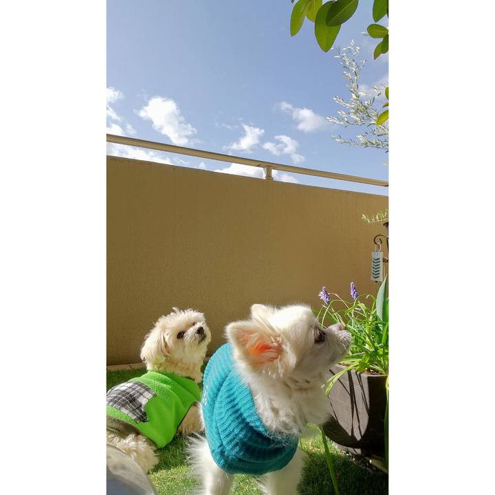 264d3862 f5f9 4506 a408 5e0f9eb40f96 1647774878473