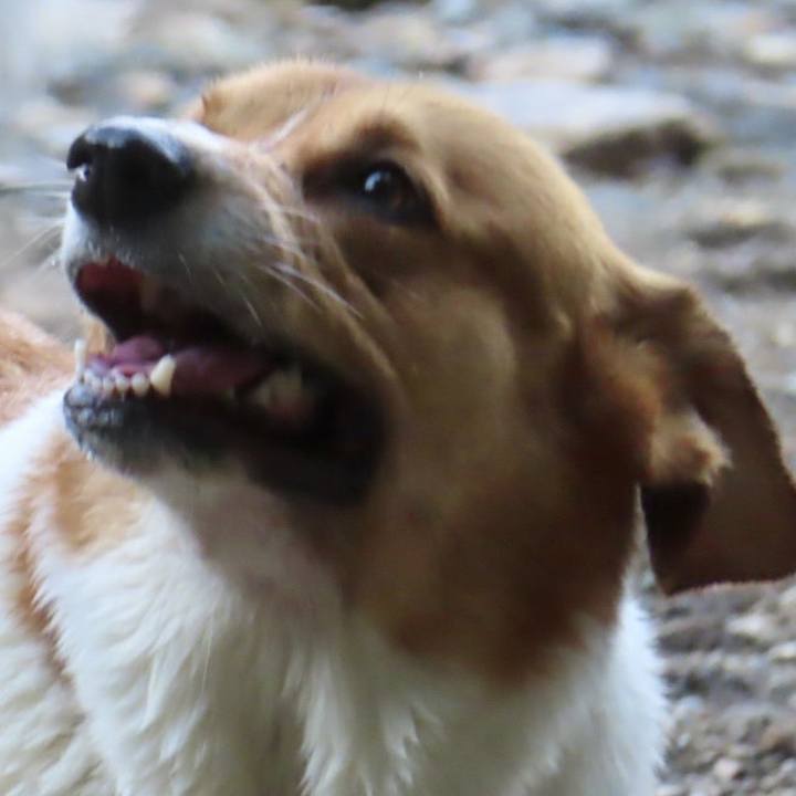 264d6e15 e3d7 461c 963c 739feb78dd94 1695082638321