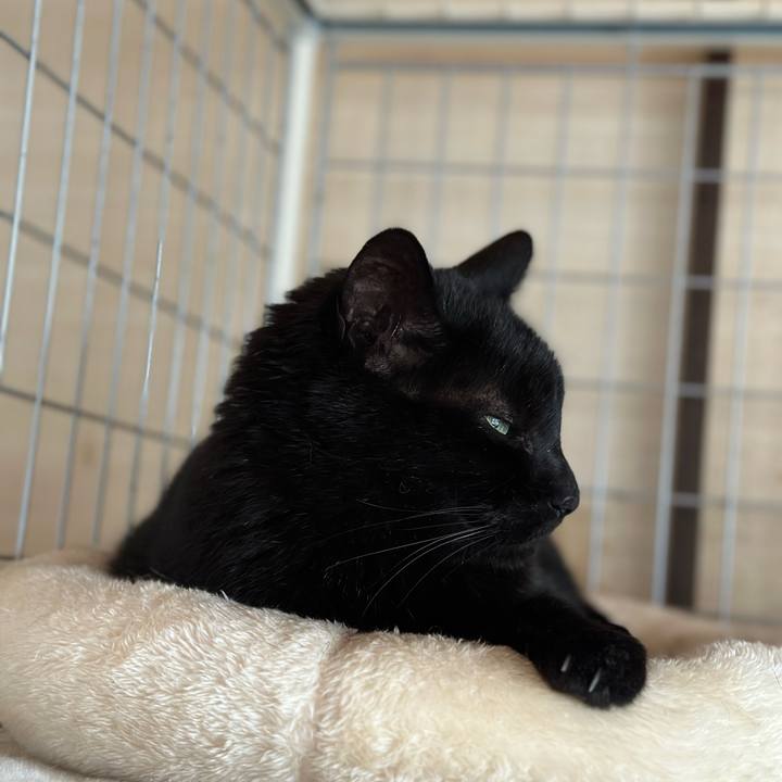 264db000 e33b 485e a225 df28ed485759 1682562466903