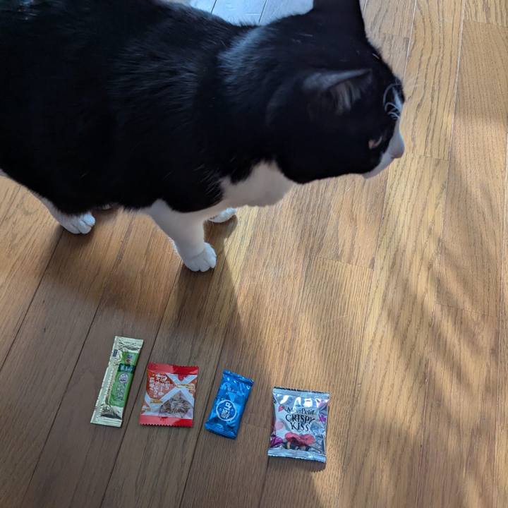 264dc47f 3508 4329 afde dbc9be5e1ff6 1763938862115