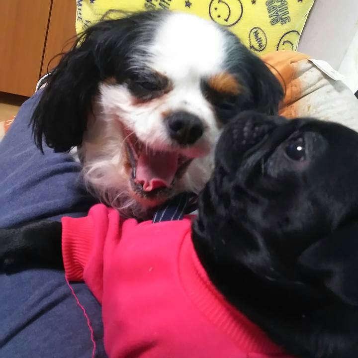 264dcf90 ca5c 41a1 8eb7 5da3fd105b82 1517718586503