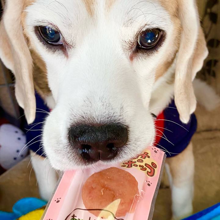 264dd40d ede5 41ce bea2 8ab249c1cc05 1608869929208