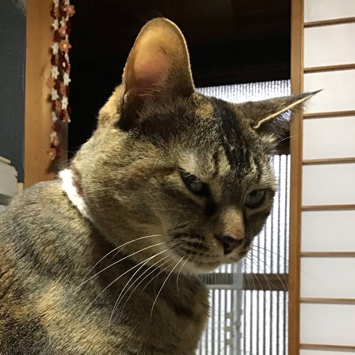 264e1579 9d42 4009 8fb5 da376a46af9f 1711271656370