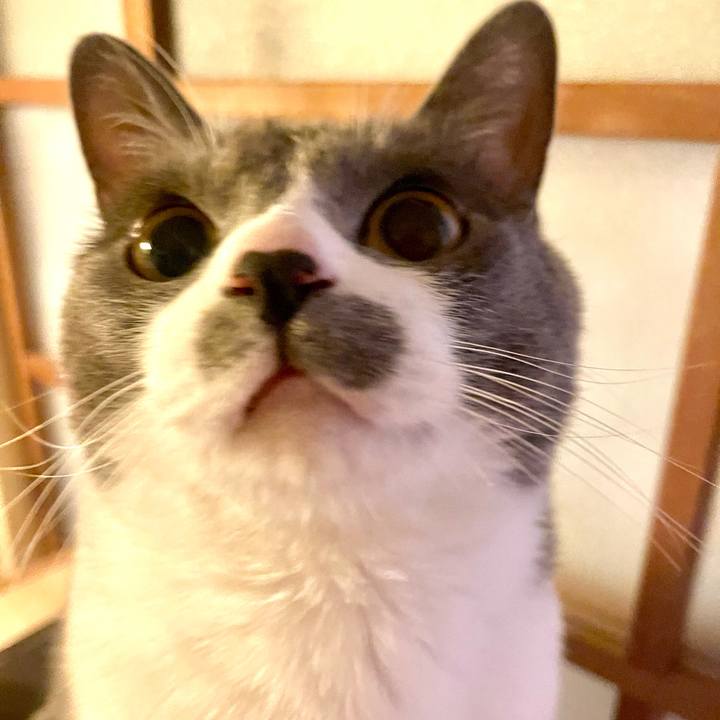 264e2eb6 0de3 4b2f 9ad1 106e14320d79 1645785113191