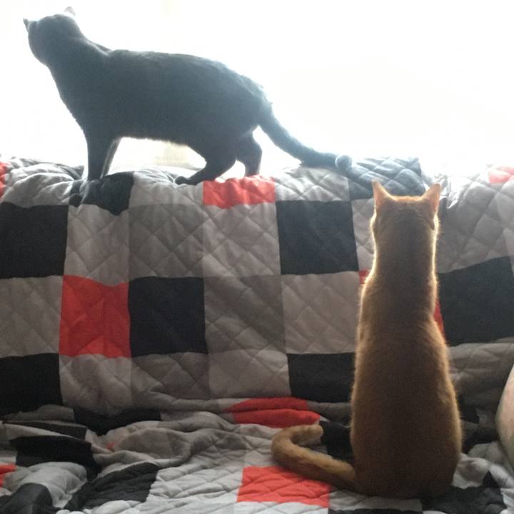 264eaa4f 77af 4c2d a3cc 4ade2e17c544 1632961627197