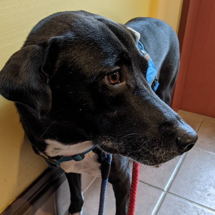 264eeafe 9011 48a2 a075 9de66787d0ef 1631577719658