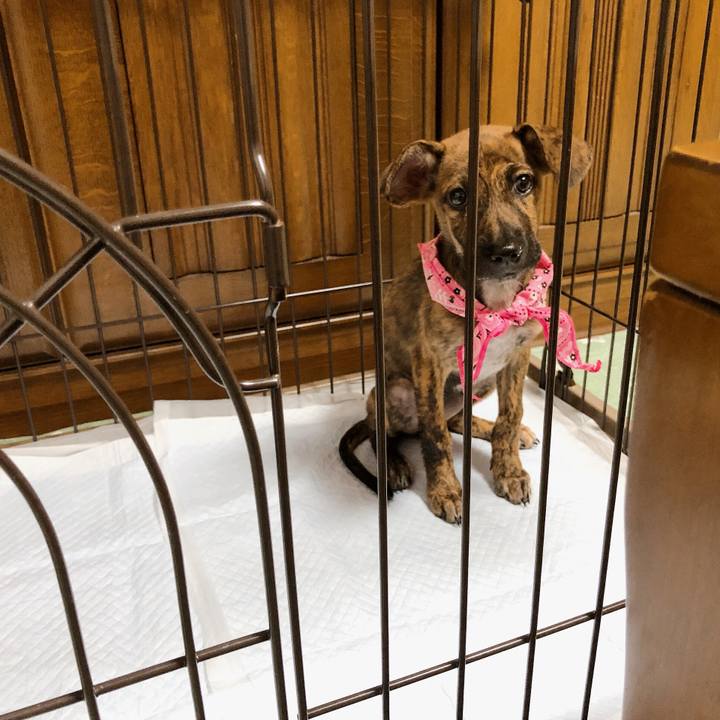 264f2d7c 52f5 4542 ab4d 62a9c7c9f02b 1567511171116