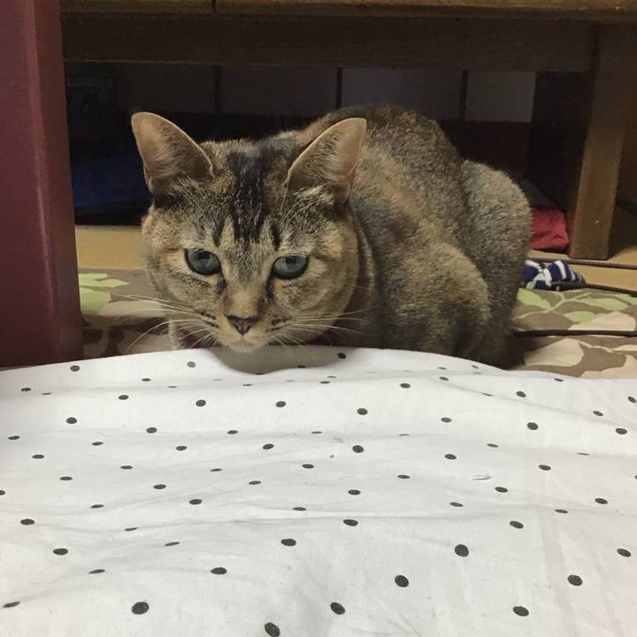 264f354b 5552 4228 85ad 01864c27ba86 1602195616917