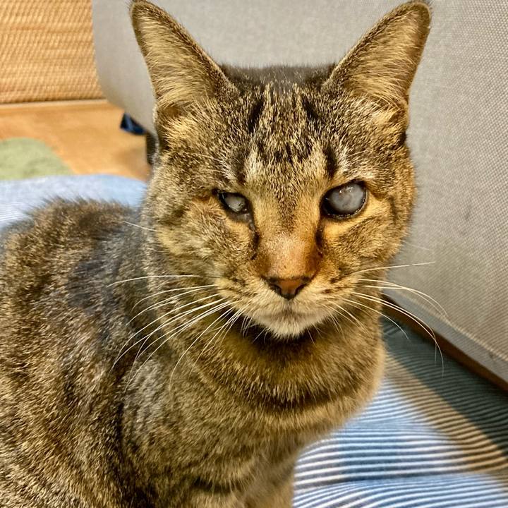 264f5903 c585 4d46 b6a2 20c4ecbb0fbb 1643529243662