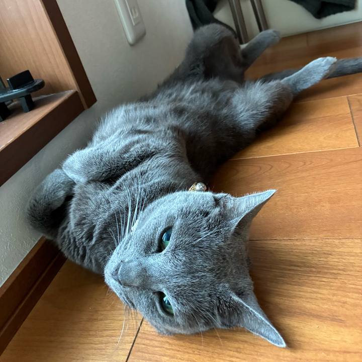 264f67bf e555 4534 af8e 92c92bee4b51 1751000759345