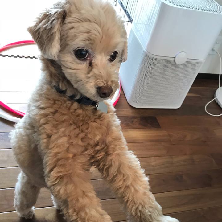 264f7137 b28d 4dc7 bdfb 312835ae2e9e 1540684269967