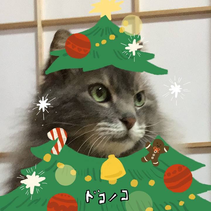 264f7d7e 3692 49c7 bb04 b710cbd4d3a9 1761495863059