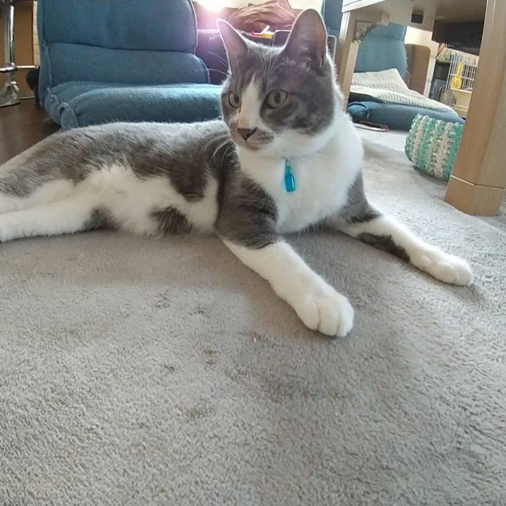 264f7f27 f614 4a2d 9e31 69165dfcb125 1623363404730