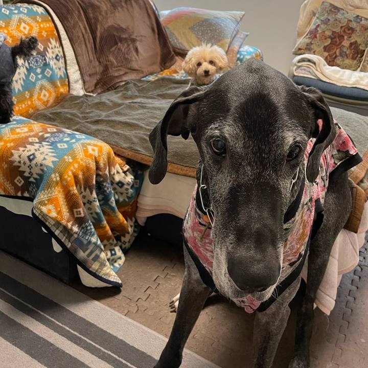 264f8e54 a500 43a3 a62a 8a426c317bdb 1642546161504