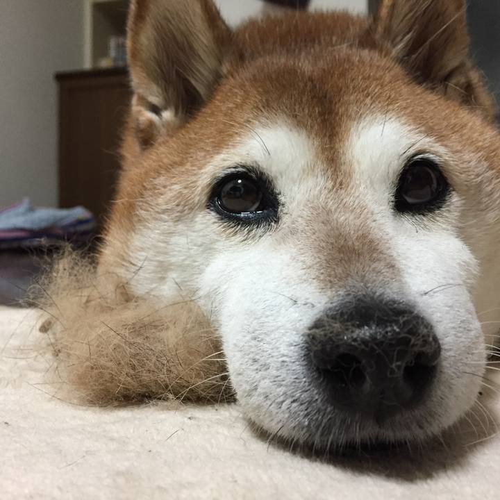 264fe17a 5999 4c81 b97c 1e0f13164a8c 1539171682416