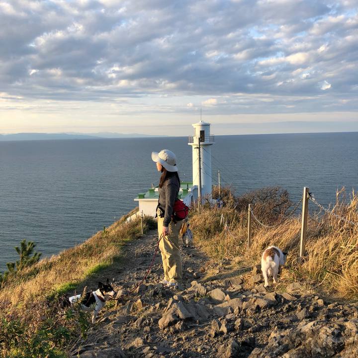 265042be 7ae9 464b 81cc 1972c054ca0a 1541418246901