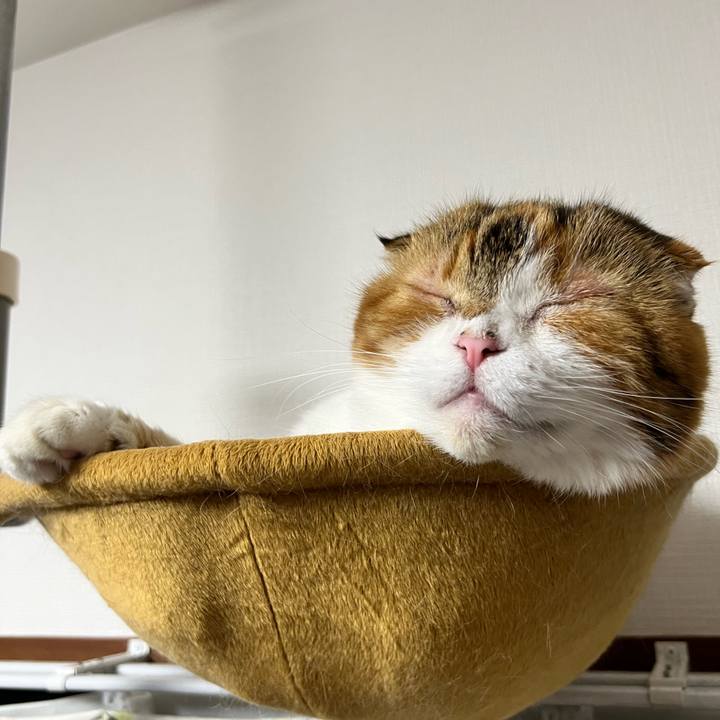 2650752d 6929 4981 ab0a 6ab95920c63b 1730727090213