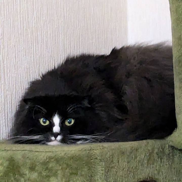 26508a40 1327 4971 971a 3ba006aefab7 1736165543355