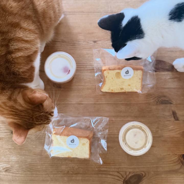 2650ba3d 1231 4404 bc3b 38482c599157 1771983882929