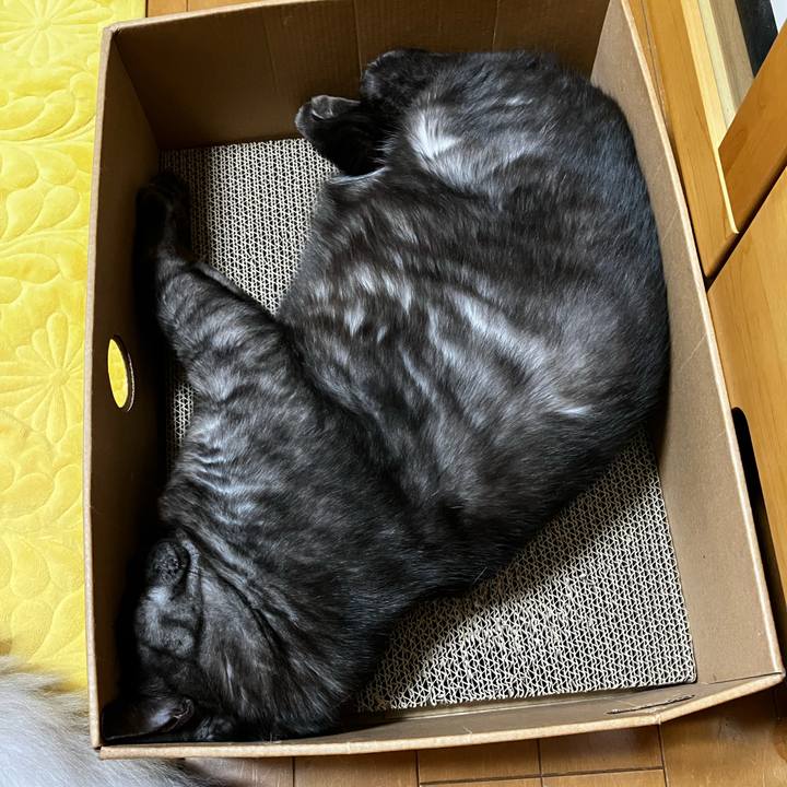 26510719 7f4a 41a7 886a c39708edbe1d 1735518662531