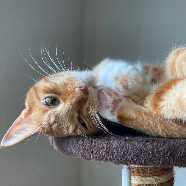 26510ef4 1589 4e56 a7dd 2a3d50431c0c 1600224129788