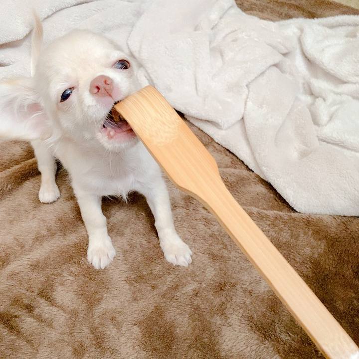 26511095 25c7 4fc6 85e2 8420b48919b7 1591522599329