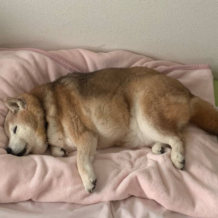 26512cac 511d 4259 a323 da32f1c5b68e 1681545756286