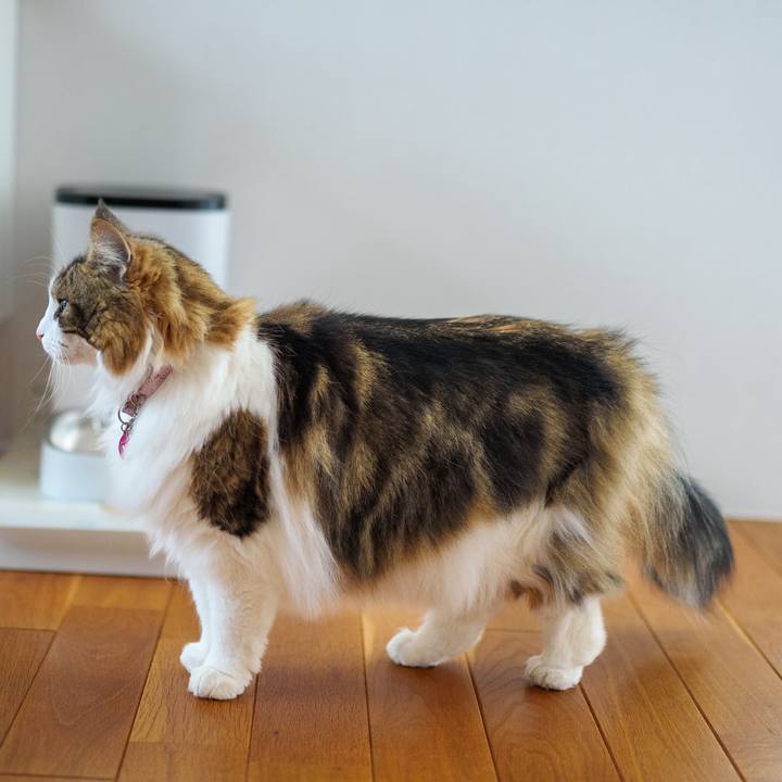 265152b3 5439 4a1f 8d17 9b4af57be4a9 1709180705007