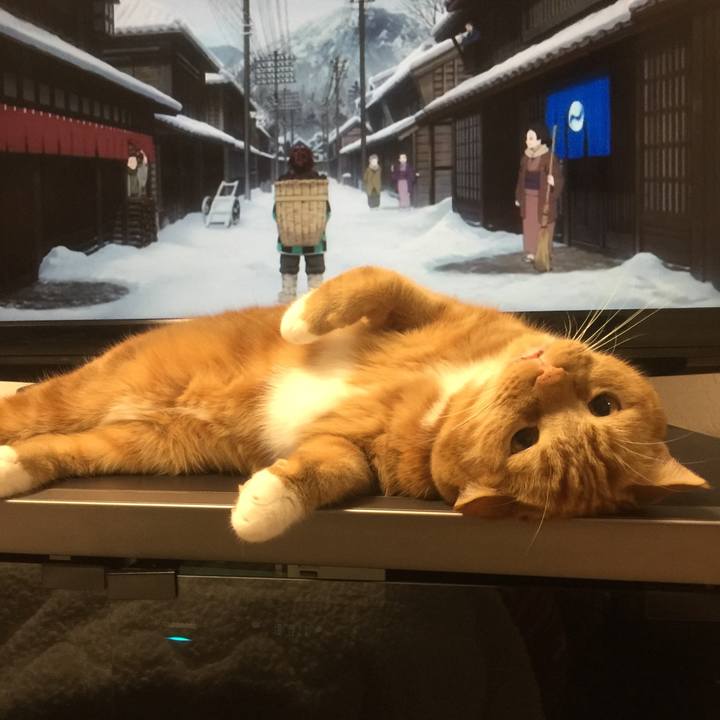 26517bcf 4140 4fe7 a0f9 19c2f54772f4 1603288445432