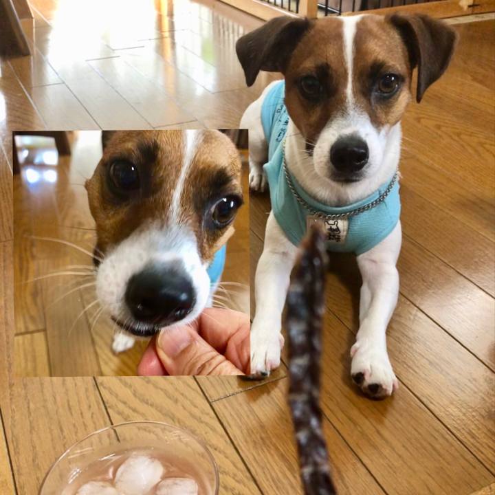 2651bdda 13e6 4870 88e9 3554e60d085e 1566180126215