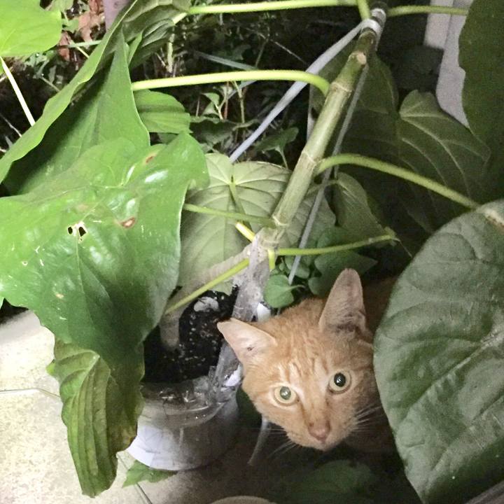 2651c36d 29e5 40fd a869 46dd334a5c49 1656679136692