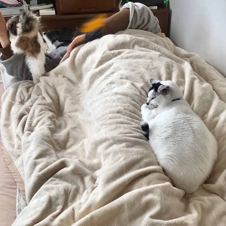 2651ddb3 1e5b 48eb 938b 5f1c400b4b3b 1647267662582