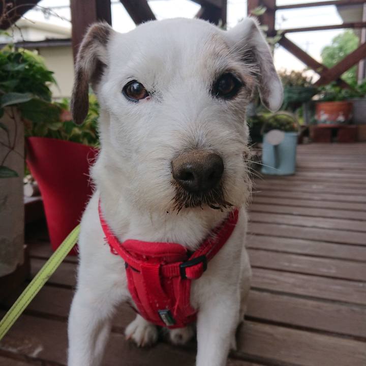 26522808 f959 497a ba10 1d6013ab4c16 1556495592864