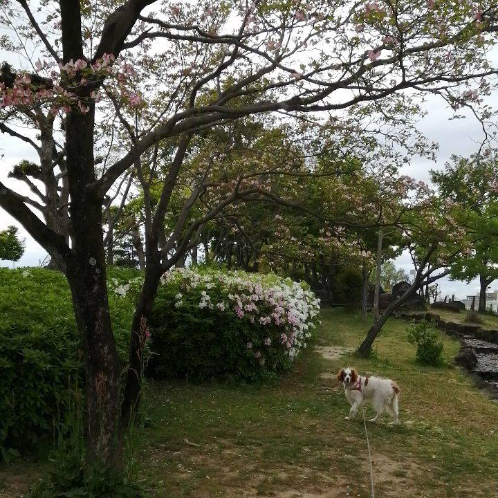 26526de9 0b82 4ad5 a8c6 088b9dd3064f 1618659607351