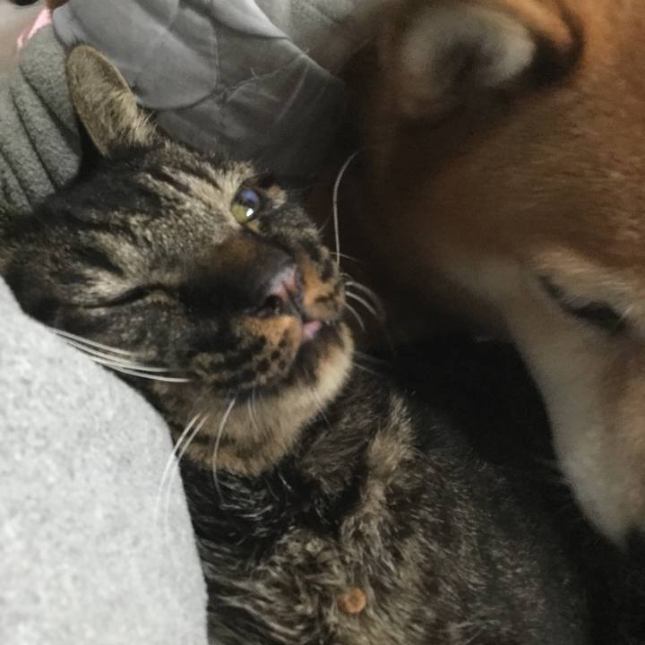 2652801f 9d71 40d1 b3c9 f5a5715f26f9 1605145218238