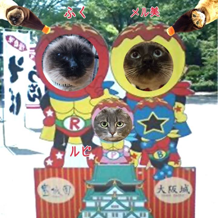 2652806d 7d04 4a10 b303 4b643db61e6e 1585360752391