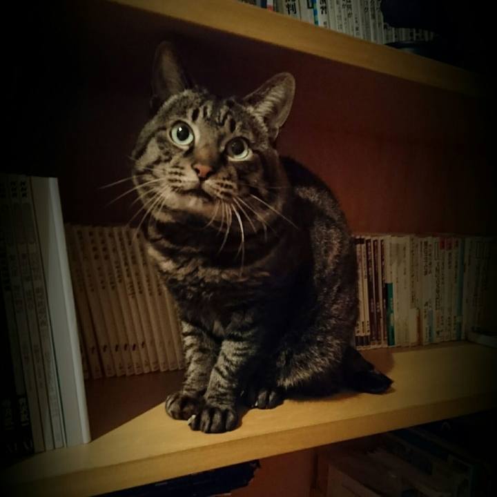 2652978f da5a 4058 afb3 d0093d399732 1507780456373