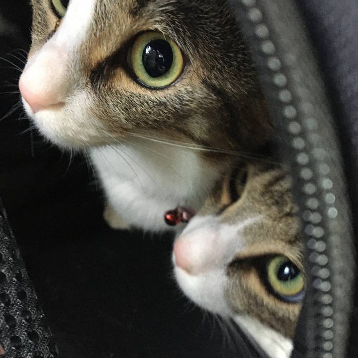 2652c5bc c8a2 476e ab5e a187f6bfda56 1685859836575