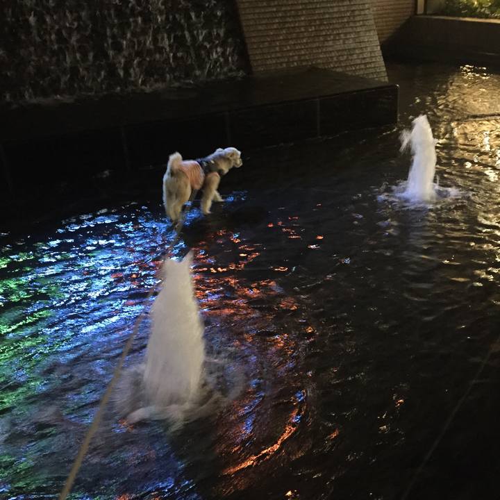 2652d8ab b32a 4e19 9796 4fdd8a775a83 1565174758455