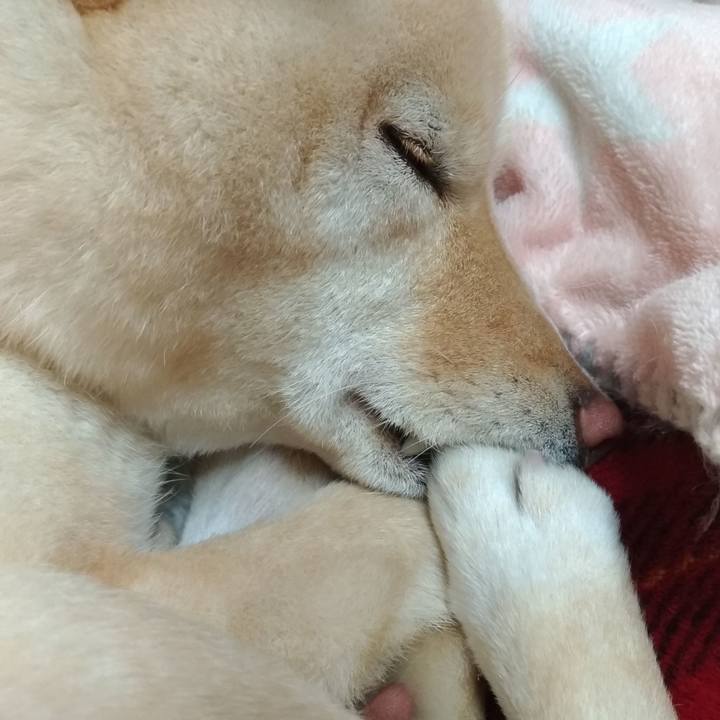 2652ed46 f90f 467a b3e9 6872d83a4e1b 1555156153998