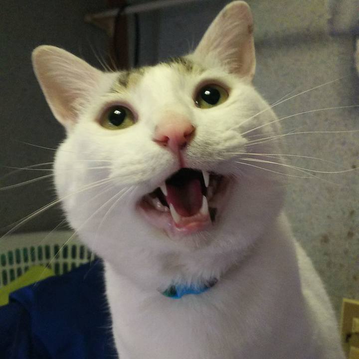 265395cf f10b 4802 8e7b ea771d6c8b6a 1526894041128