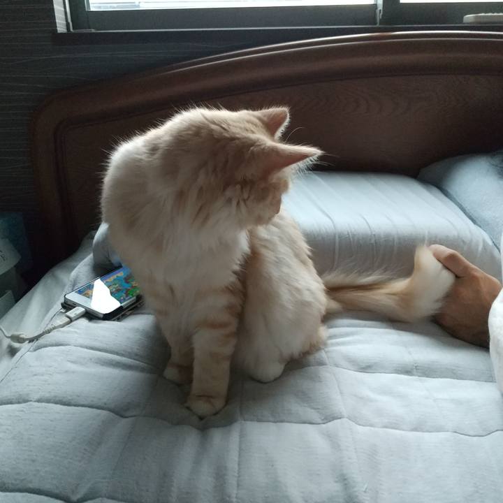 2653971a 743b 41fe 8309 61da255ac5a2 1625521295155