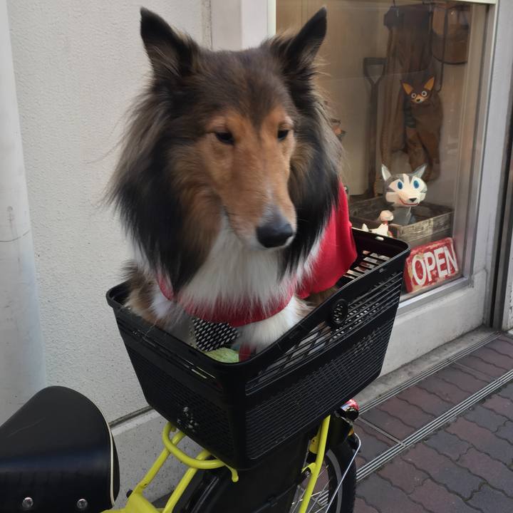 2653b8c8 46f4 47d6 bb40 bbfa9e8bae3d 1510939551243