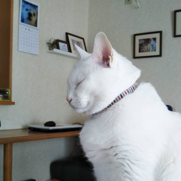 2653d3c3 9ea8 4564 a00a 9b656c759744 1625623428821