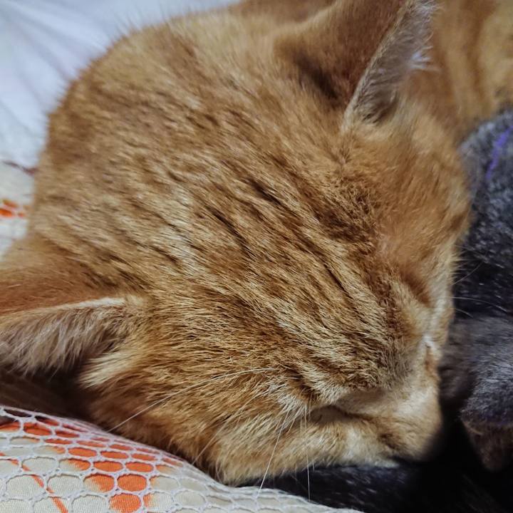 2653fd38 c186 41fb a351 104af2c5b5a8 1581163523675