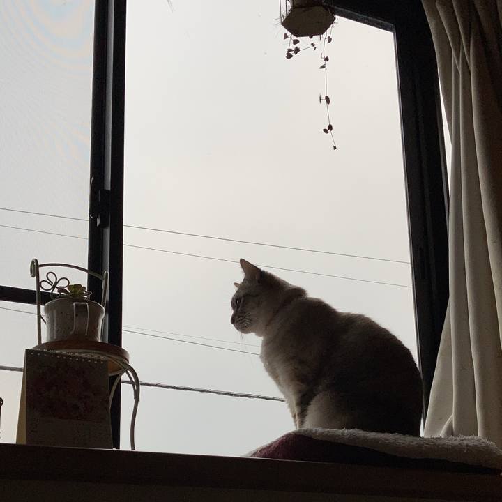 265408fc c812 4795 80d8 47a254ec6464 1677375087037